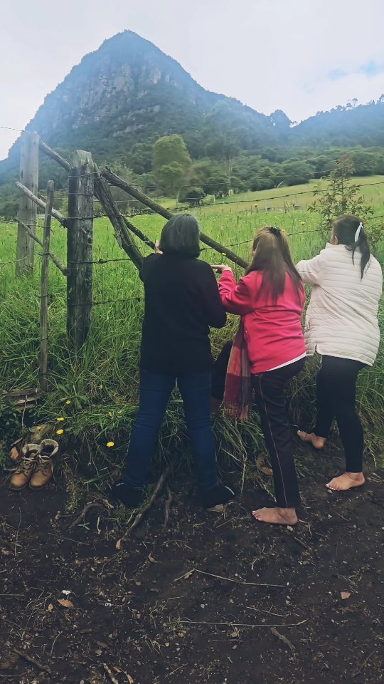 Paola Suárez - Terapeuta Holística Swan