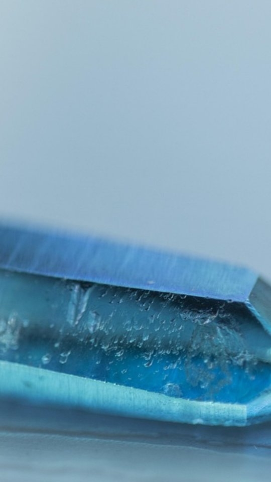 Terapia asistida con caballos